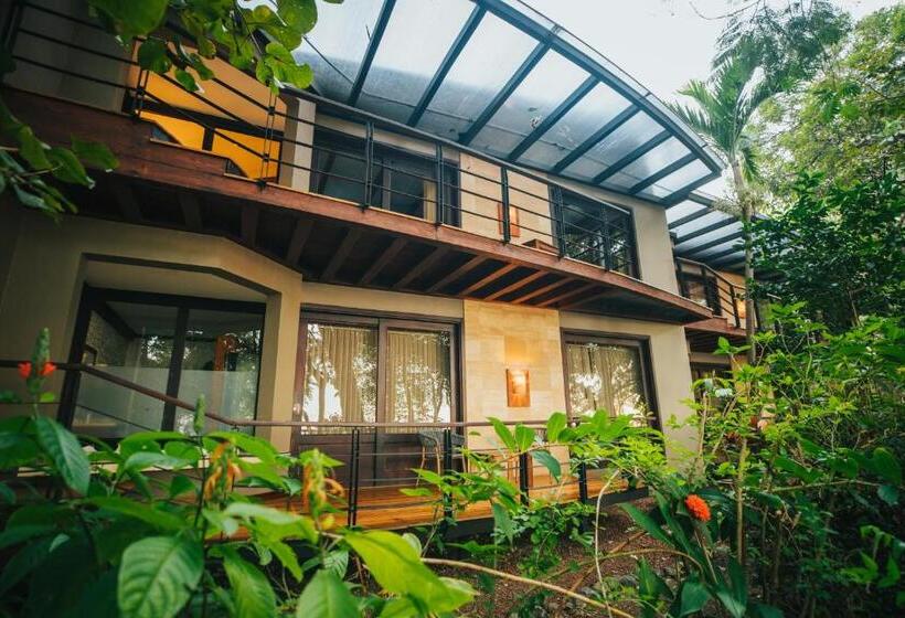 جناح مطلّ علي البحر, Bosque Del Mar Playa Hermosa