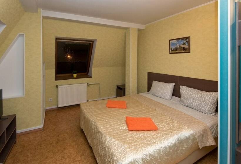 اتاق استاندارد یک تخته با سرویس بهداشتی مشترک, Guest House Orlovskiy