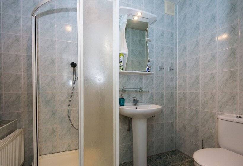 اتاق استاندارد, Guest House Orlovskiy