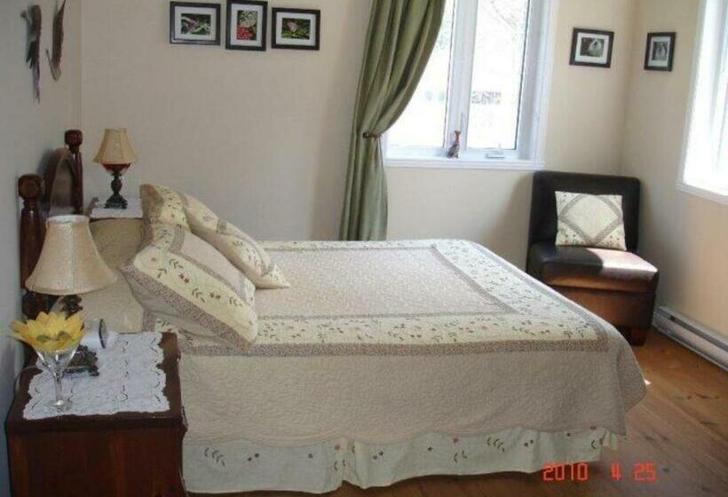 اتاق استاندارد, La Petite Douceur