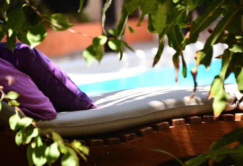 キングサイドベッドのスタンダードワンルーム, Villas Geminis Boutique Condo