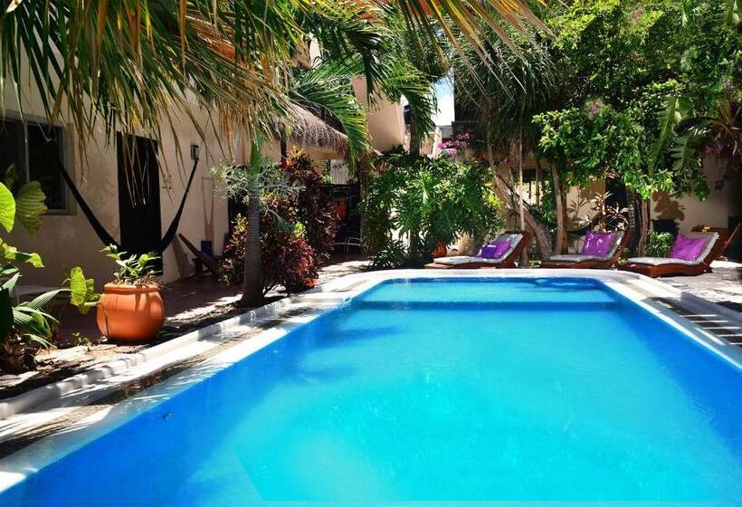 １ベッドルームアパートメント, Villas Geminis Boutique Condo