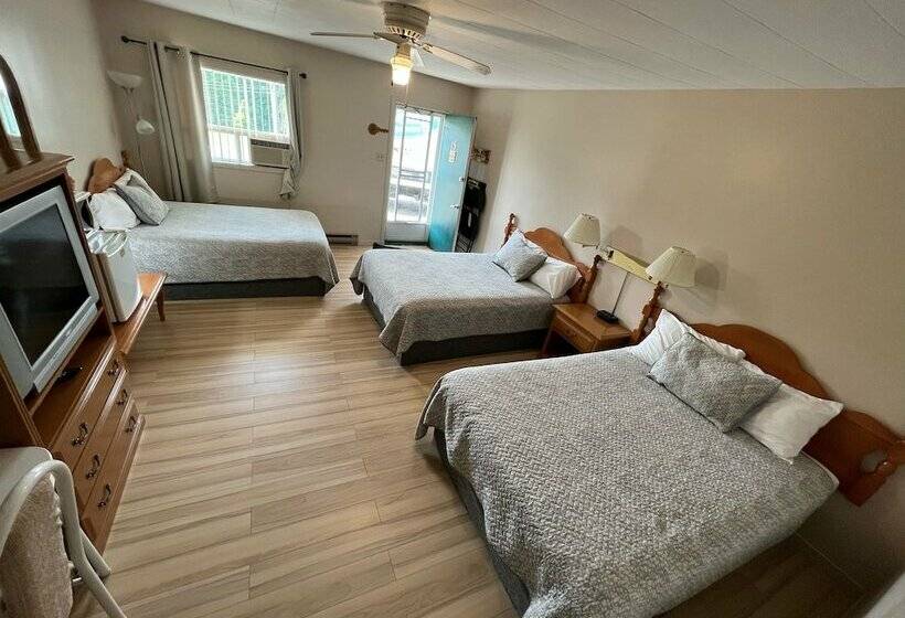 Номер Стандарт Трехместный, La Roma Motel