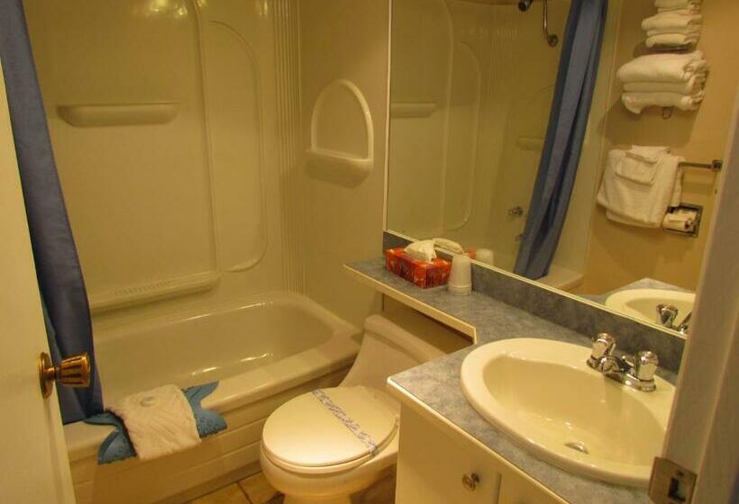 스탠다드 룸 더블 침대 2개, Rosedale Motel