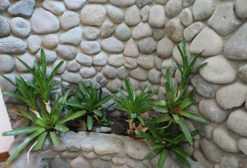 Номер Стандарт, Tierra Magica B&b And Art Studio