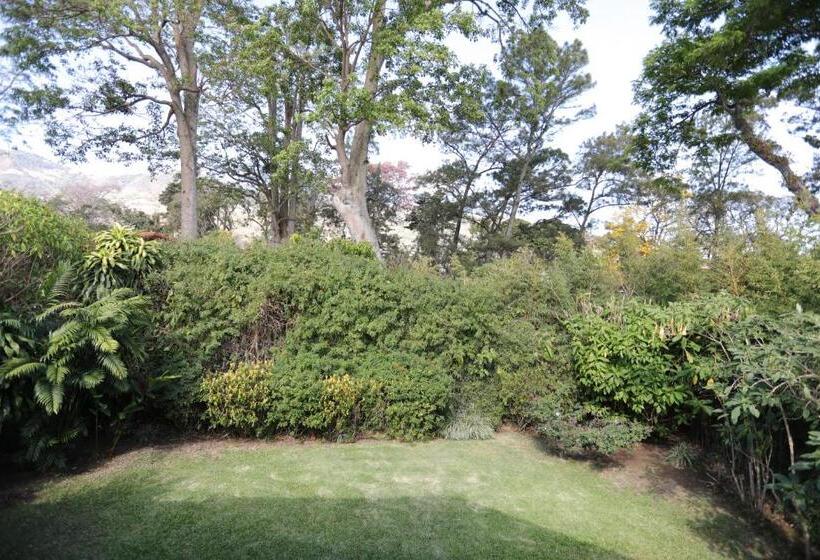 Номер Стандарт Вид на Сад, Tierra Magica B&b And Art Studio