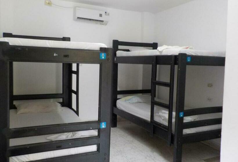 共用房间的床, Hostel Nirvana Taganga