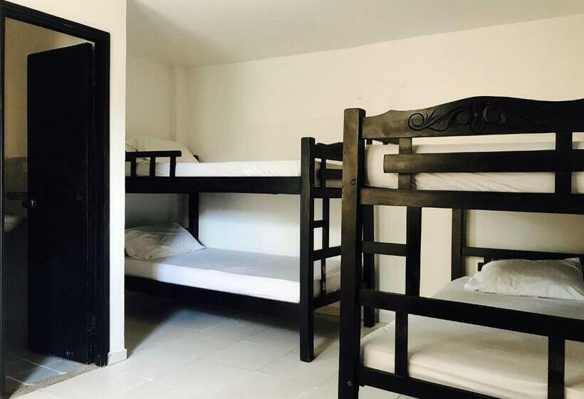 共用房间的床, Hostel Nirvana Taganga