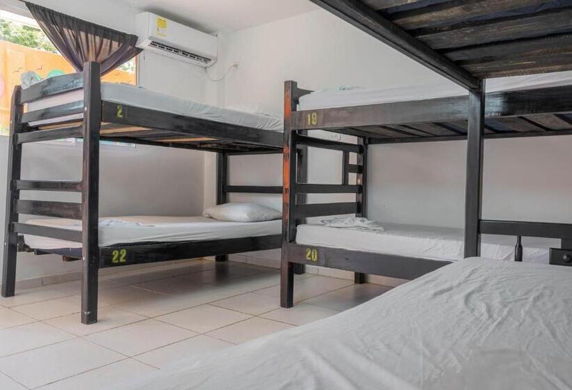 共用房间的床, Hostel Nirvana Taganga