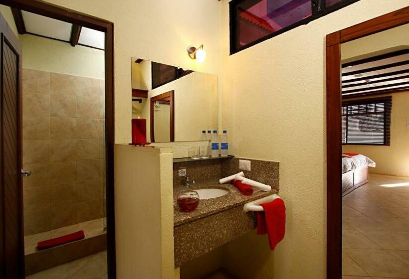 اتاق استاندارد سه نفره, Arena Blanca Eco