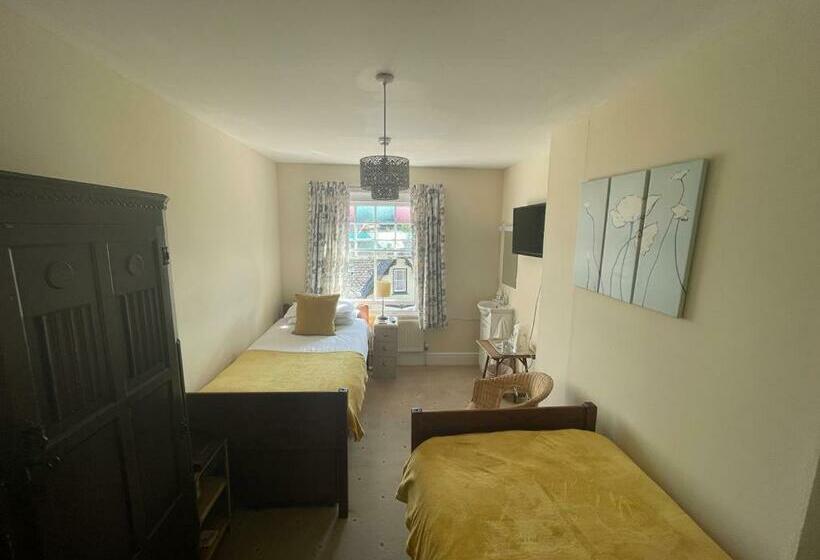 חדר סטנדרט יחיד, Bryncelyn Guesthouse