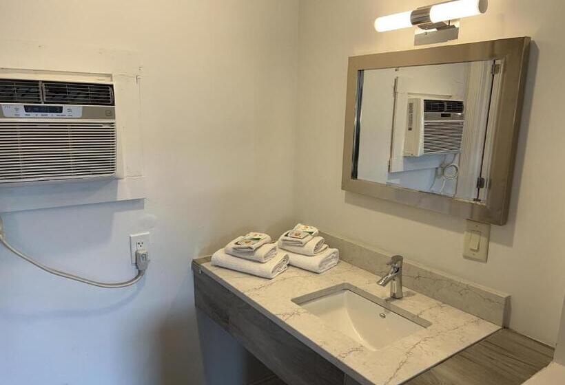 四人豪华间, Elect Inn 5