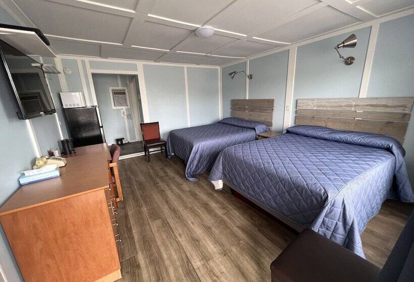 四人豪华间, Elect Inn 5