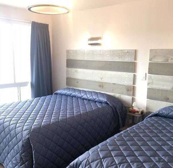 四人豪华间, Elect Inn 5