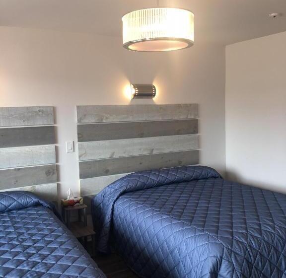 四人豪华间, Elect Inn 5