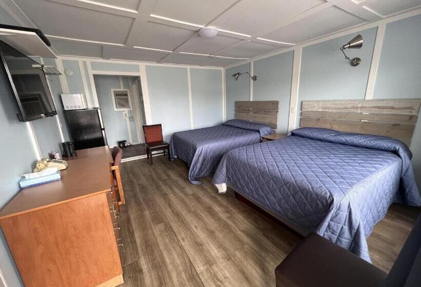 四人豪华间, Elect Inn 5