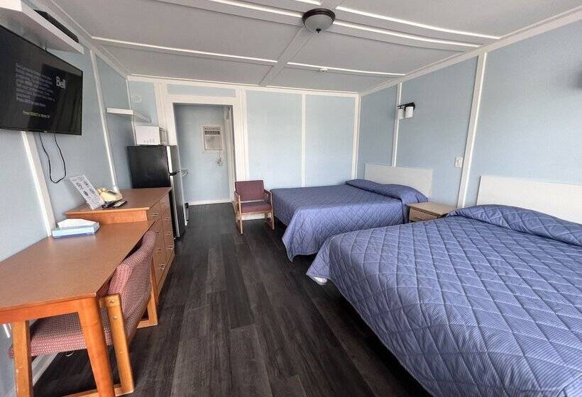 四人豪华间, Elect Inn 5