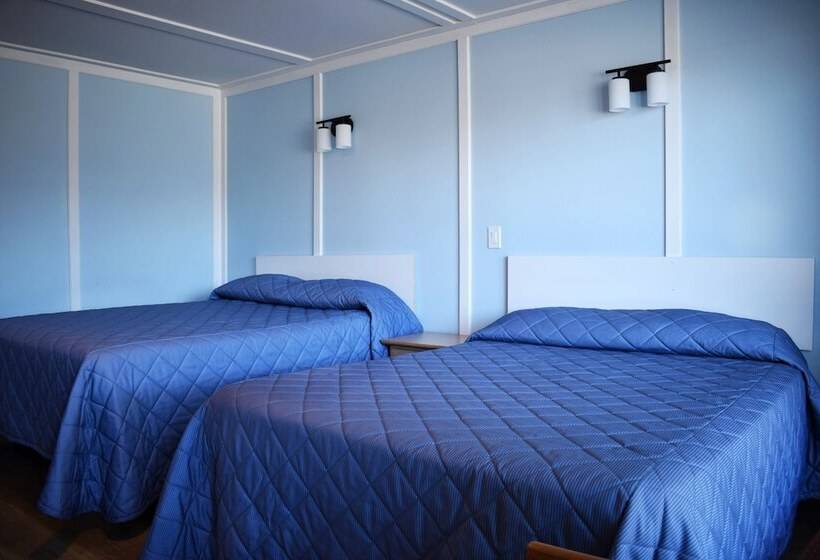 四人豪华间, Elect Inn 5