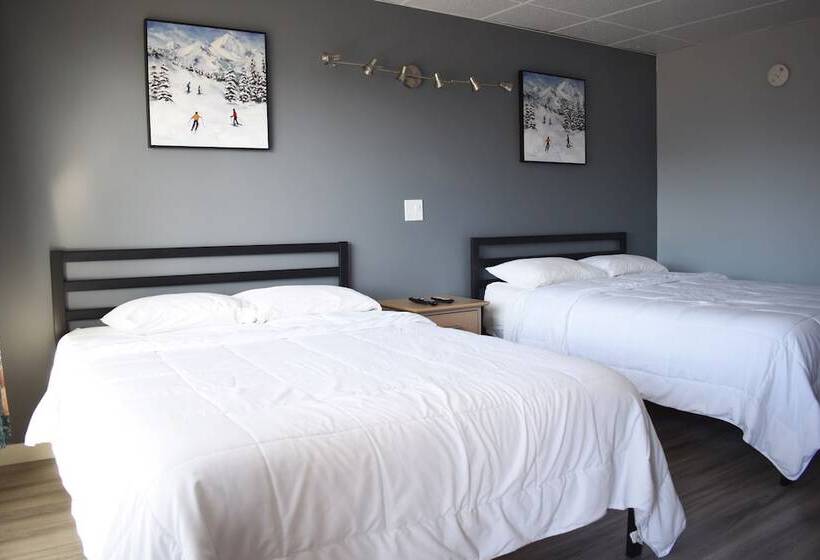 四人豪华间, Elect Inn 5