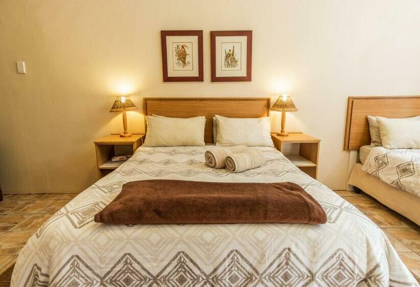 Habitació Estàndard, Treetops Guesthouse