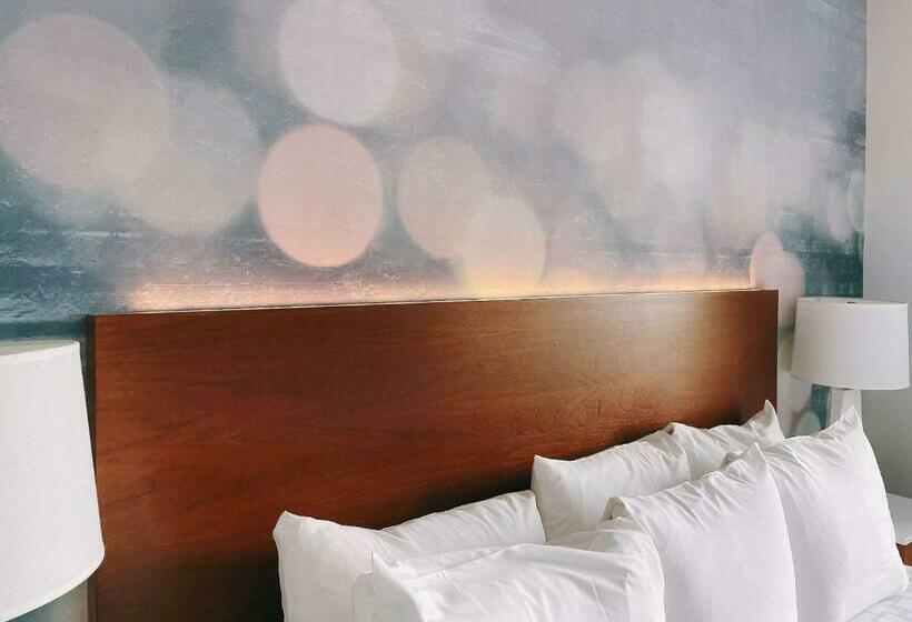 غرفة قياسية, Cambria Hotel Lax