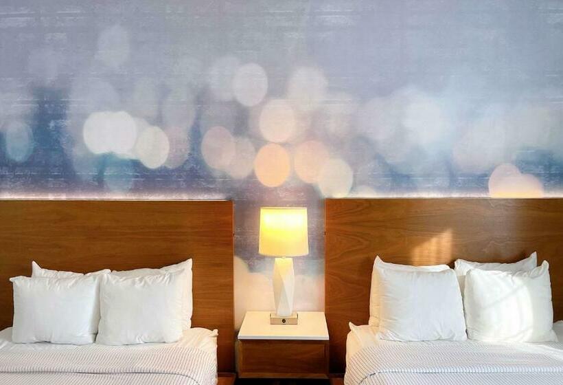 غرفة قياسية, Cambria Hotel Lax