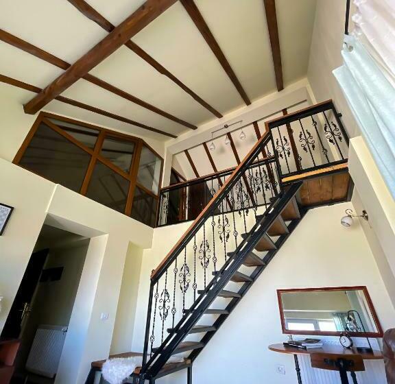 סטודיו משפחתי, Art Montana