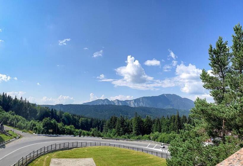 סטודיו משפחתי, Art Montana