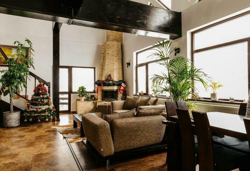 디럭스 룸, Contele Vladimir