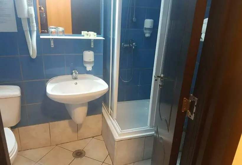 Habitación Estándar Abuhardillada, Cristal Sinaia