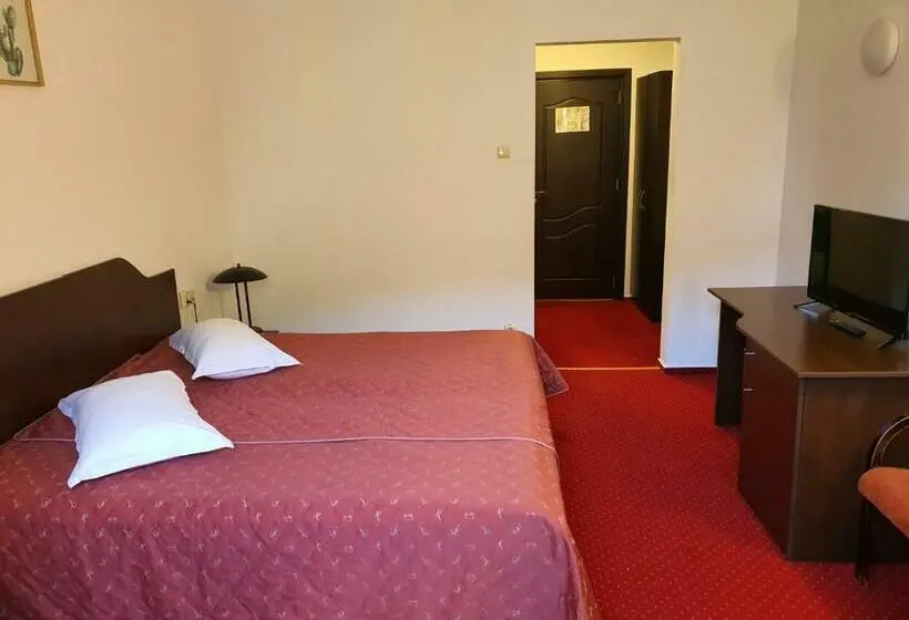 Habitación Estándar Abuhardillada, Cristal Sinaia