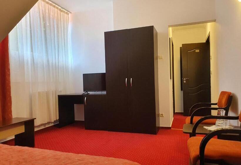 Номер Стандарт в Мансарде, Cristal Sinaia