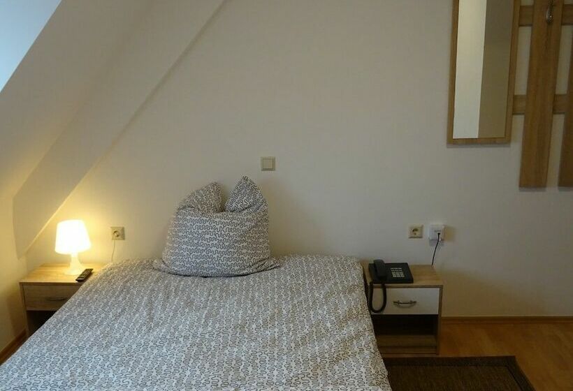 スタンダードシングルルーム, Einstein