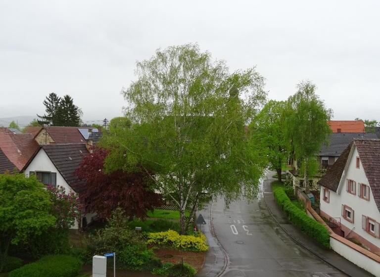 スタンダードトリプルルーム, Einstein