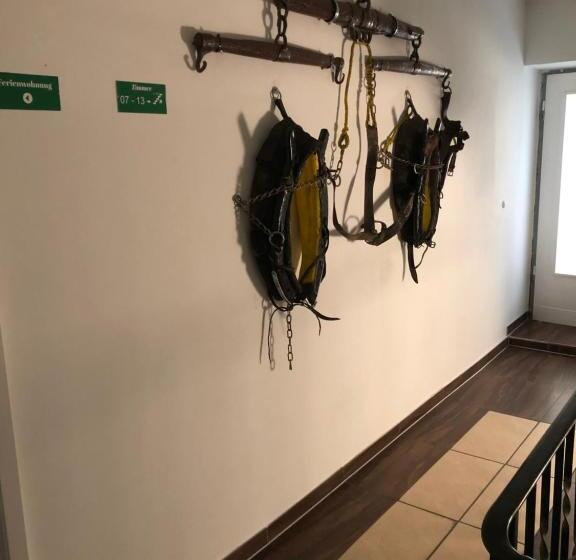 ２ベッドルームアパートメント, Einstein