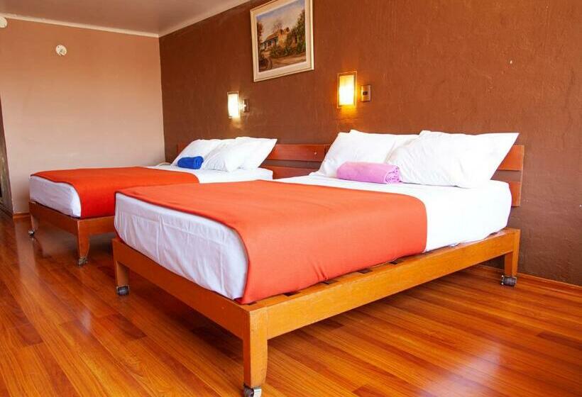 高级大房间, Holiday Suites