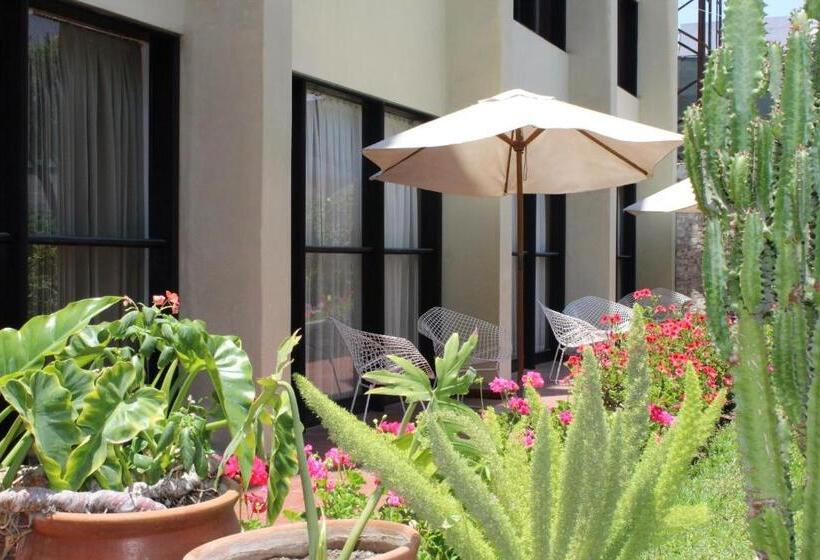 带大床的标准间, Holiday Suites