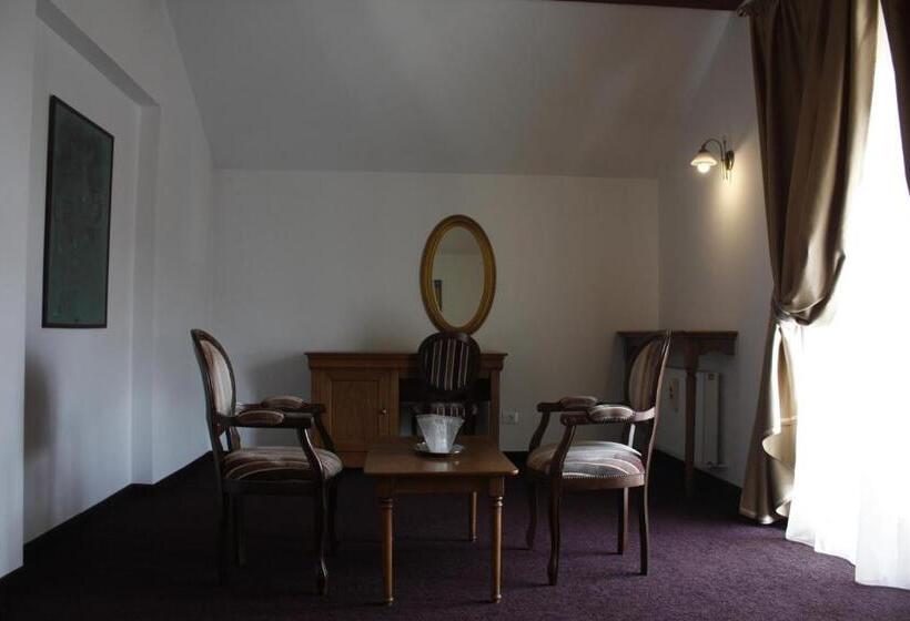 חדר סטודיו סטנדרד, Pensiunea Casa Nostalgia