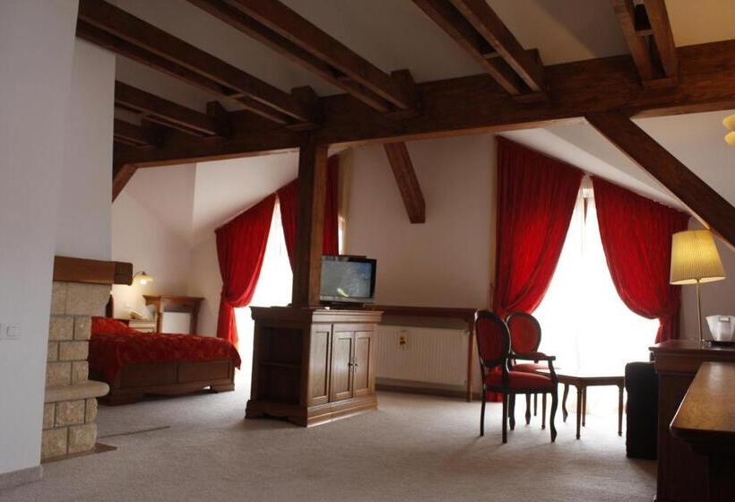 חדר סטודיו סטנדרד, Pensiunea Casa Nostalgia