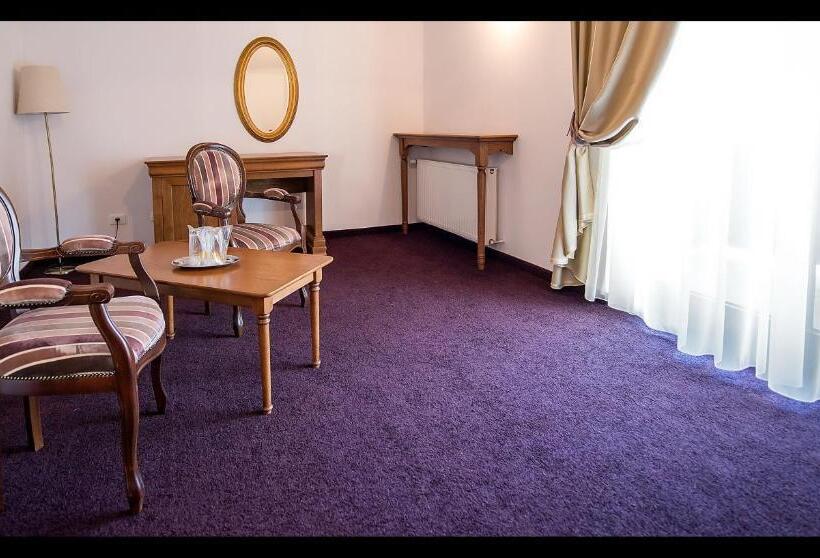 חדר סטודיו סטנדרד, Pensiunea Casa Nostalgia