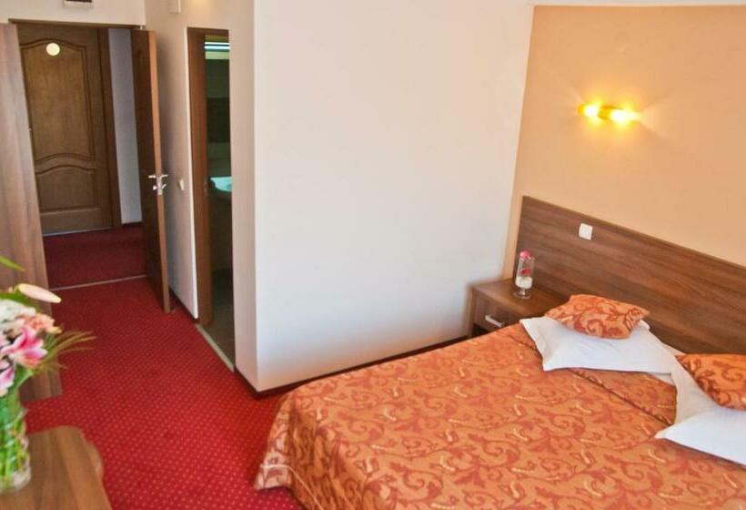 Номер Стандарт, Premier Botosani