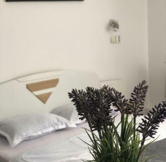 스탠다드 자쿠지 룸, Pensiunea Old Sheriff