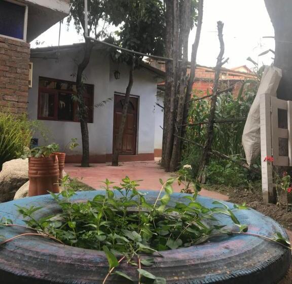 חדר סטנדרט, Jo´s Place