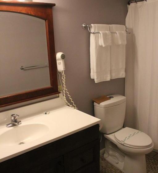 اتاق استاندارد یک نفره, Brydan Suites