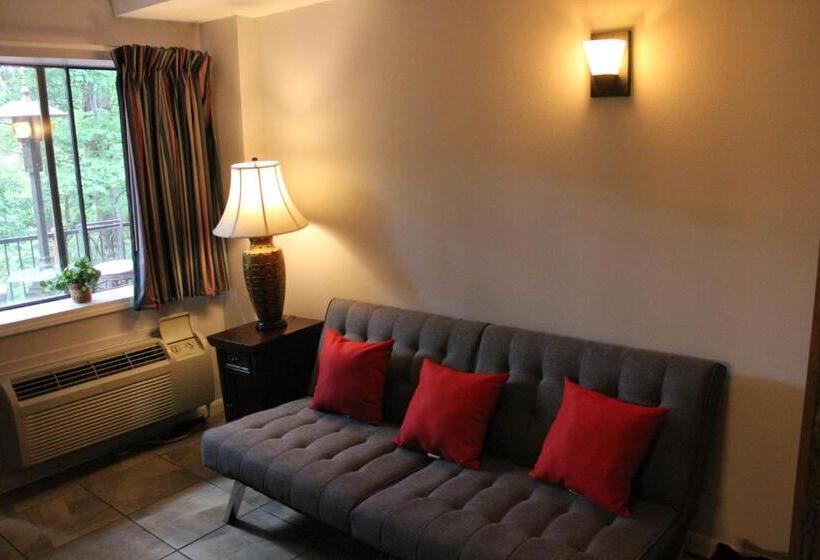 اتاق استاندارد یک نفره, Brydan Suites