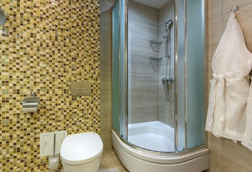 اتاق استاندارد, Degas Lite