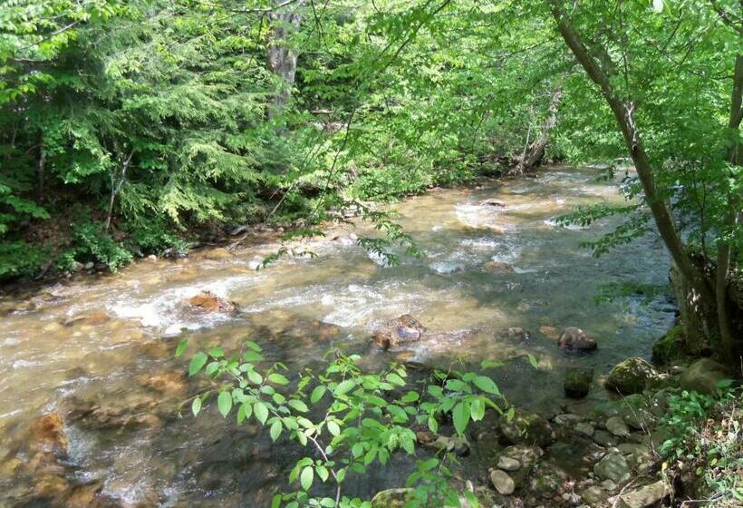 Стандартный Номер Кровать Кинг, Four Seasons Inn