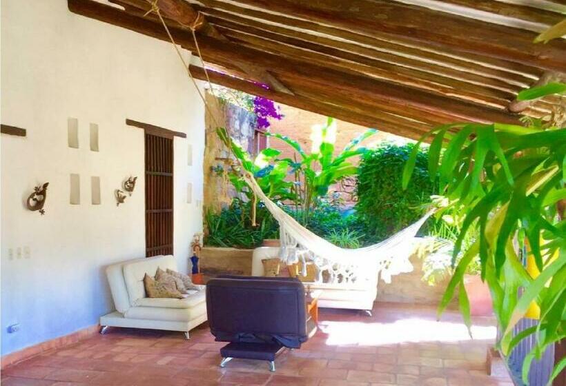 스위트, Achiotte Masaya Collection