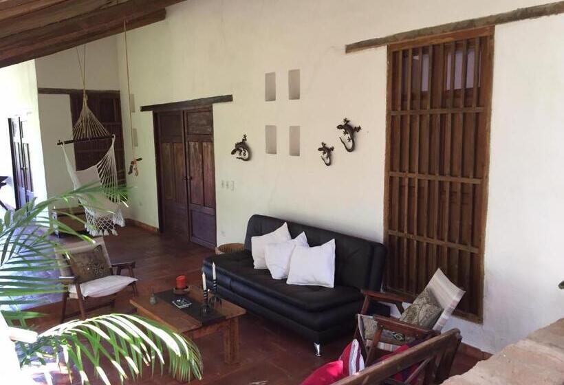 스위트, Achiotte Masaya Collection