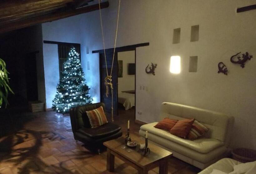 스위트, Achiotte Masaya Collection